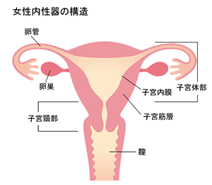 検診でわかる 婦人科の病気について 丸の内クリニック 東京都千代田区丸の内オアゾにて診察しております